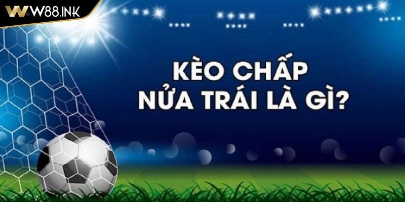 Kèo chấp 0.5 trái Tìm Hiểu Chi Tiết Về Mức Cược Phổ Biến 1 Kèo chấp 0.5 trái trong cá cược thể thao