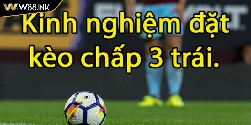 Kèo Chấp 3 Trái Khái Niệm Và Cách Đọc Kèo Cho Người Mới 1 Đối với cửa dưới của kèo chấp 3 trái