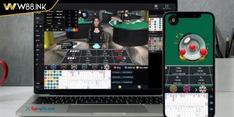 Trải Nghiệm Xóc Đĩa Live W88 Trực Tuyến Hấp Dẫn Và Minh Bạch 2 Cược tài hoặc xỉu hấp dẫn